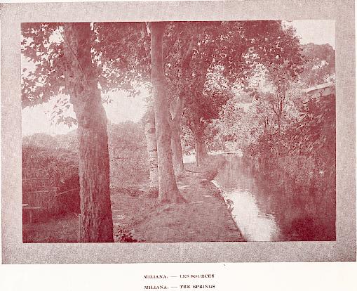MILIANA. - Les sources