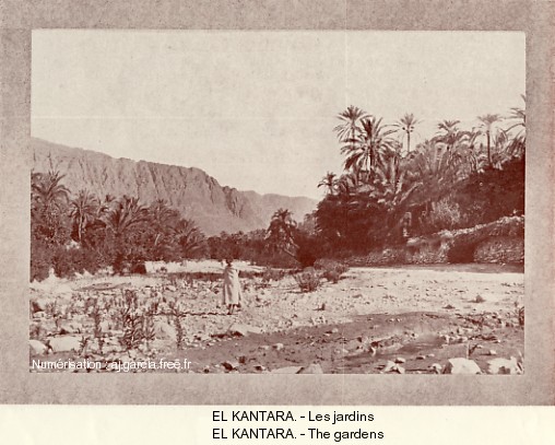 EL-KANTARA. - Les jardins