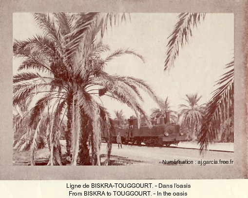 Ligne de Biskra-Touggourt. - Dans l'oasis.