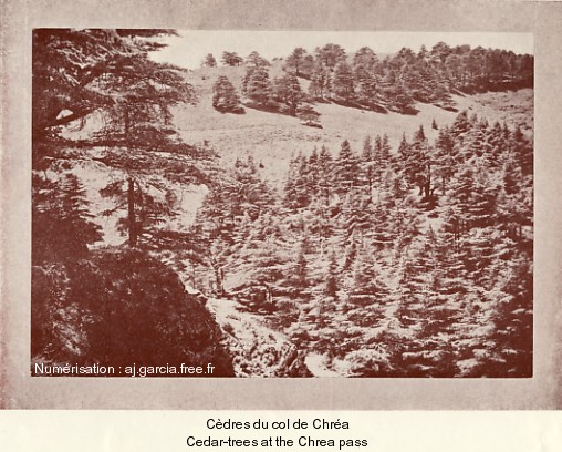 Cdres du col de Chra.