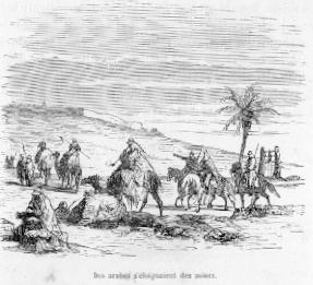 Des arabes s'loignaient des mines.