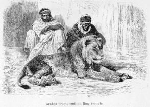 Arabes promenant un lion aveugle.