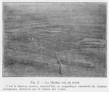 Fig. 2. --- LA MITID]A VUE EN AVION C'est le fameux marais, aujourd'hui un magnifique ensemble de champs juxtaposs, desservis par le rseau des routes.