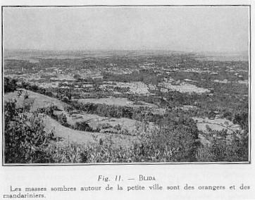 Fig. 11 - BLIDA Les masses sombres autour de la petite ville sont  des orangers et des mandariniers.