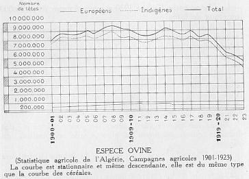 ESPECE OVINE - (Statistique agricole de l'Algrie, Campagnes agricoles 1901-1923) La courbe est stationnaire et mme descendante, elle est du mme type que la courbe des crales.