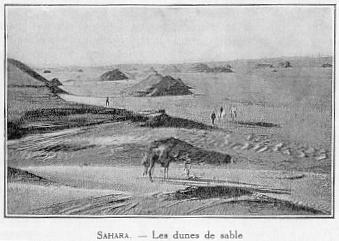SAHARA. - Les dunes de sable
