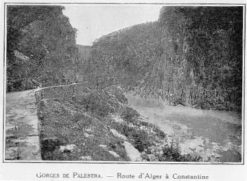 GORGES DE PALESTRO. - Route d'Alger  Constantine