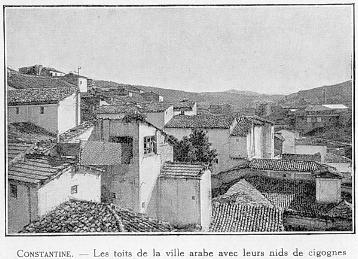 CONSTANTINE. - Les toits de la ville arabe avec leurs nids de cigognes