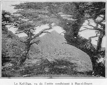 Le Kef-Siga, vu de l'arte conduisant  Ras-el-Braret