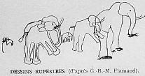 DESSINS RUPESTRES (d'après G.H.M. Flamand).