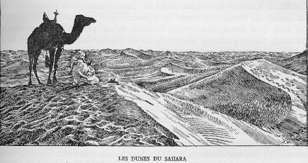 LES DUNES DU SAHARA